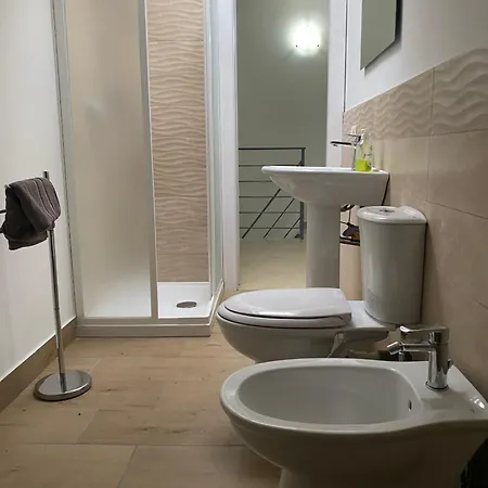 Le Conchiglie Di Venere-nike *